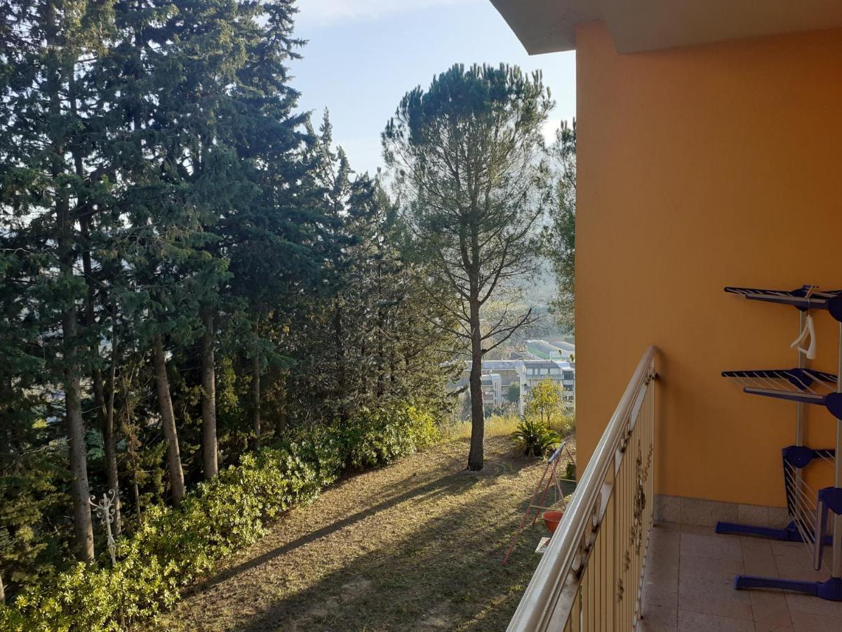 Parco Dei Gelsomini Panzió Ascoli Piceno megye Kültér fotó
